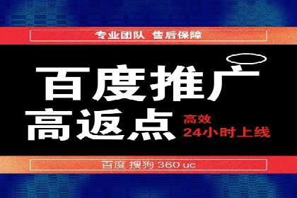 SEO百度推广策略：成功案例解析